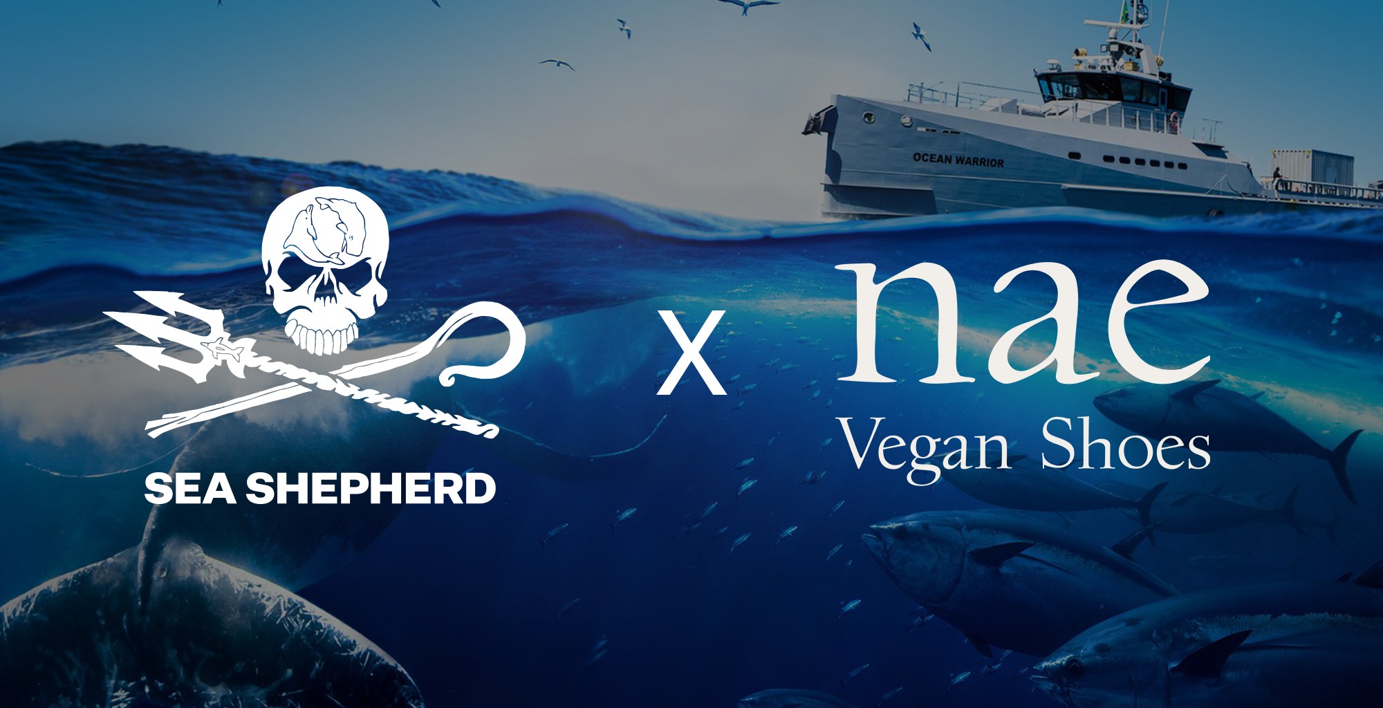 Conheça a nova parceria NAE Vegan Shoes x Sea Shepherd | Parceria com a Sea Shepherd para contribuir com a proteção da vida marinha