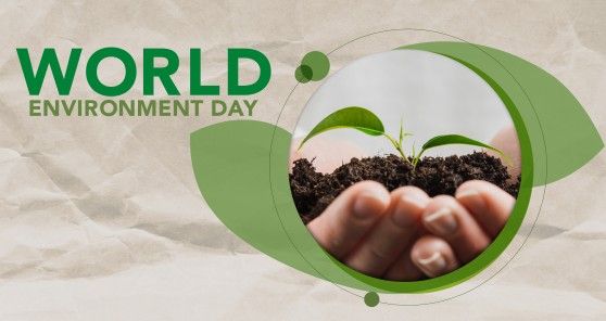 Giornata mondiale dell'ambiente: abbracciare la sostenibilità per un futuro più verde