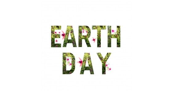 Escolhas eco-conscientes para o Dia da Terra e mais alm com a Nae Vegan Shoes